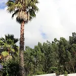 A Quinta Duna