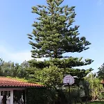 A Quinta Duna Holiday home *