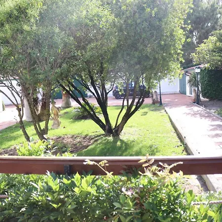 A Quinta Duna بيت للعطل Salir de Porto