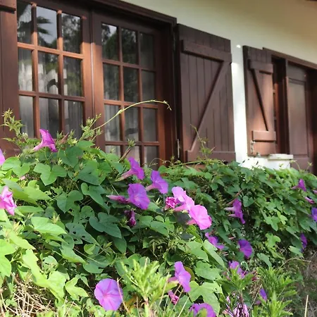 A Quinta Duna Holiday home Salir de Porto
