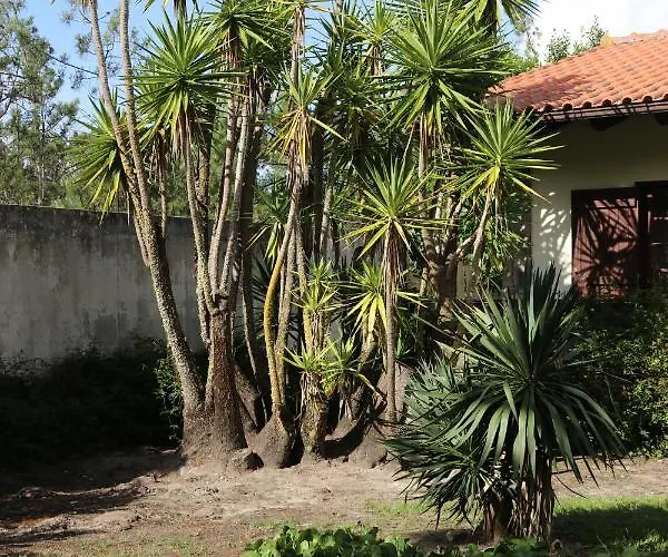 A Quinta Duna Tatil Evi *