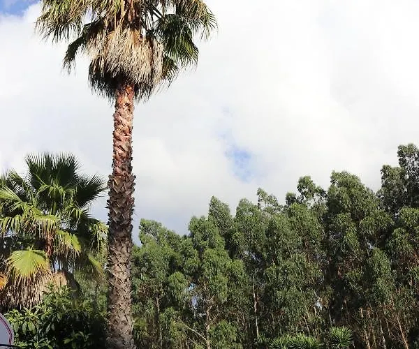 A Quinta Duna